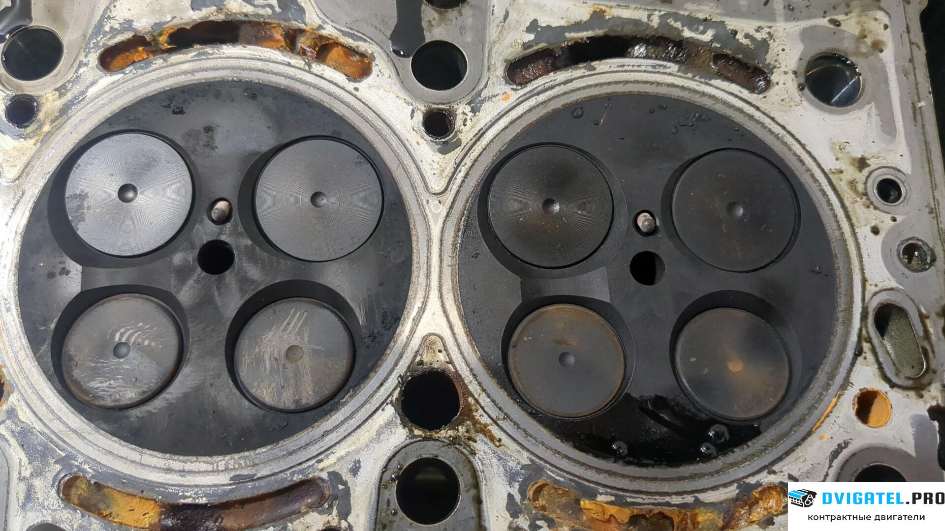 Головка блока цилиндров (ГБЦ) Mercedes Sprinter 2006 - 2014 OM 651.955 DE 22 LA 2.1 л., Дизель, CDI, артикул 9138511