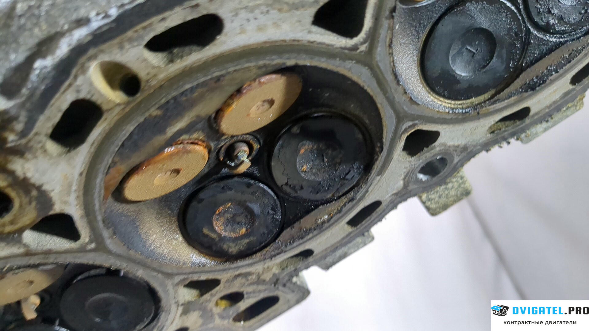 Головка блока цилиндров (ГБЦ) Ford C-Max 2002 - 2010 SHDA, SHDB, SHDC 1.6 л., Бензин, Инжектор, артикул 8896755