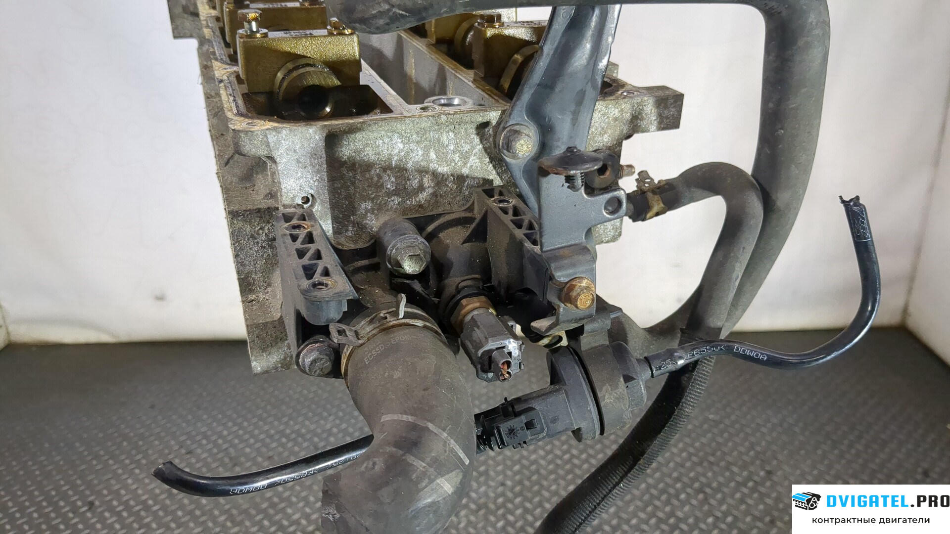 Головка блока цилиндров (ГБЦ) Ford C-Max 2002 - 2010 SHDA, SHDB, SHDC 1.6 л., Бензин, Инжектор, артикул 8896755