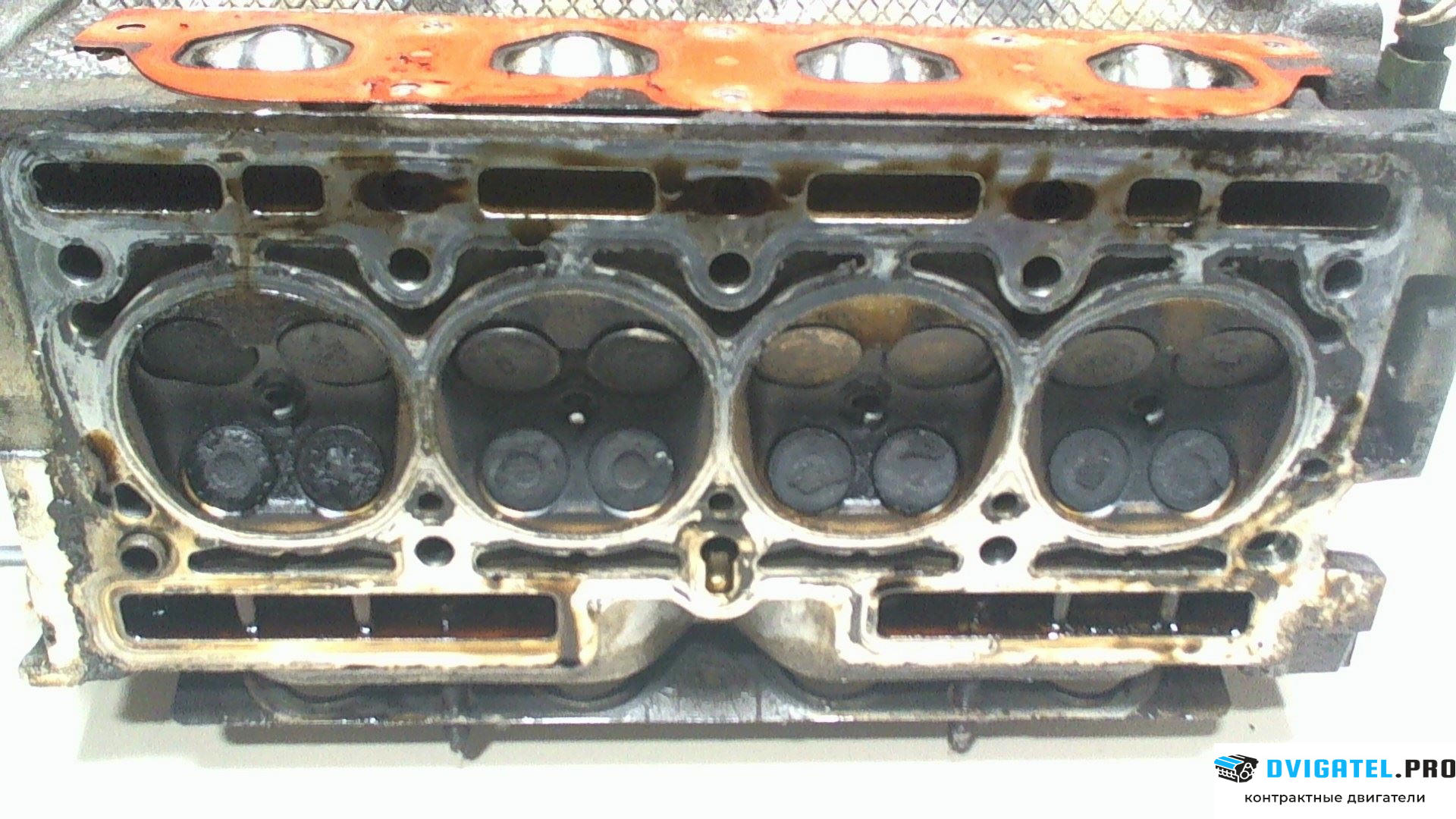 Головка блока цилиндров (ГБЦ) Renault Clio 2005 - 2009 D4F 784, D4F 786 1.2 л., Бензин, Турбо-инжектор, артикул 7043669