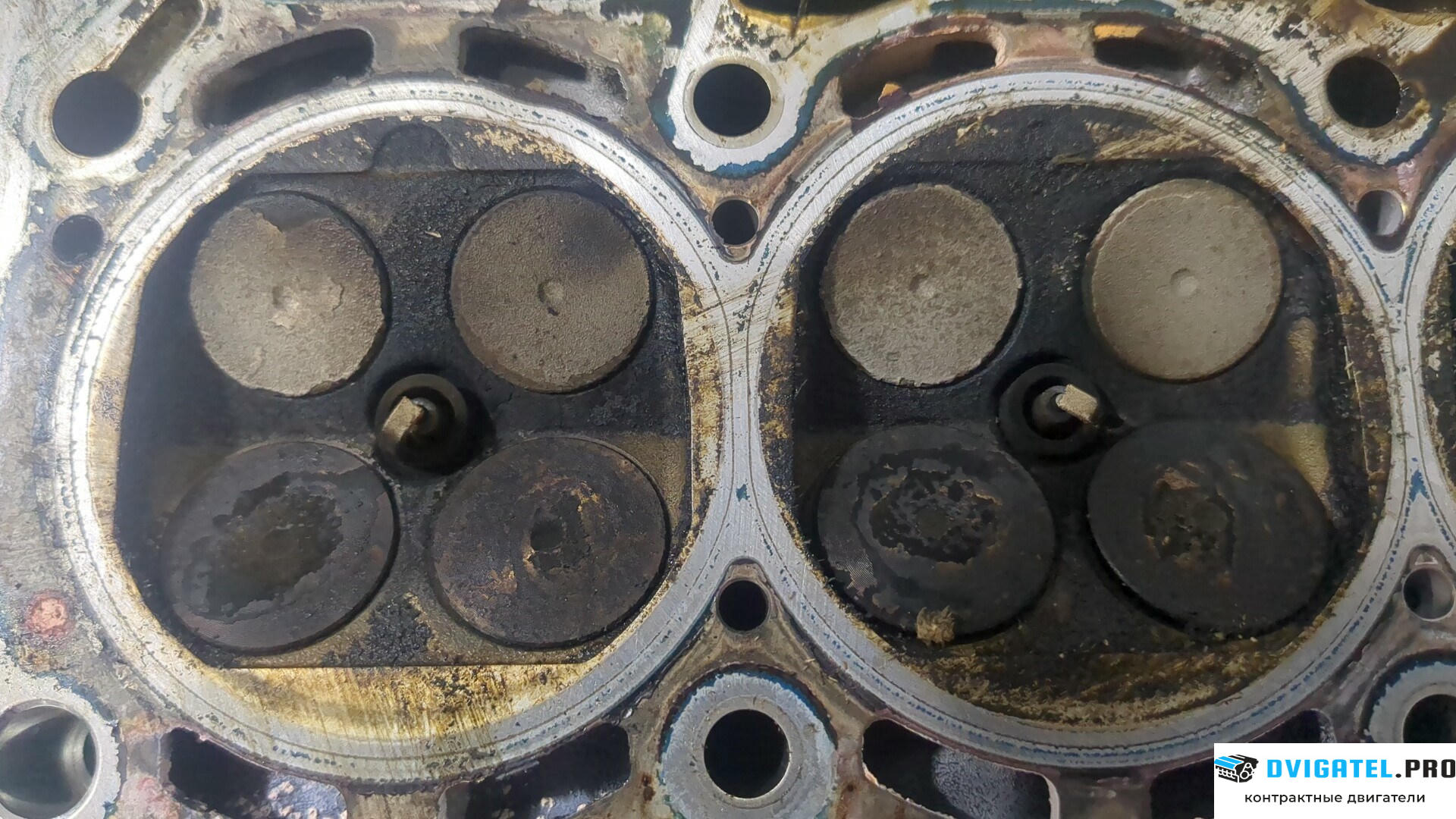 Головка блока цилиндров (ГБЦ) Seat Ibiza 4 2008 - 2012 CGGB 1.4 л., Бензин, Инжектор, артикул 9211726