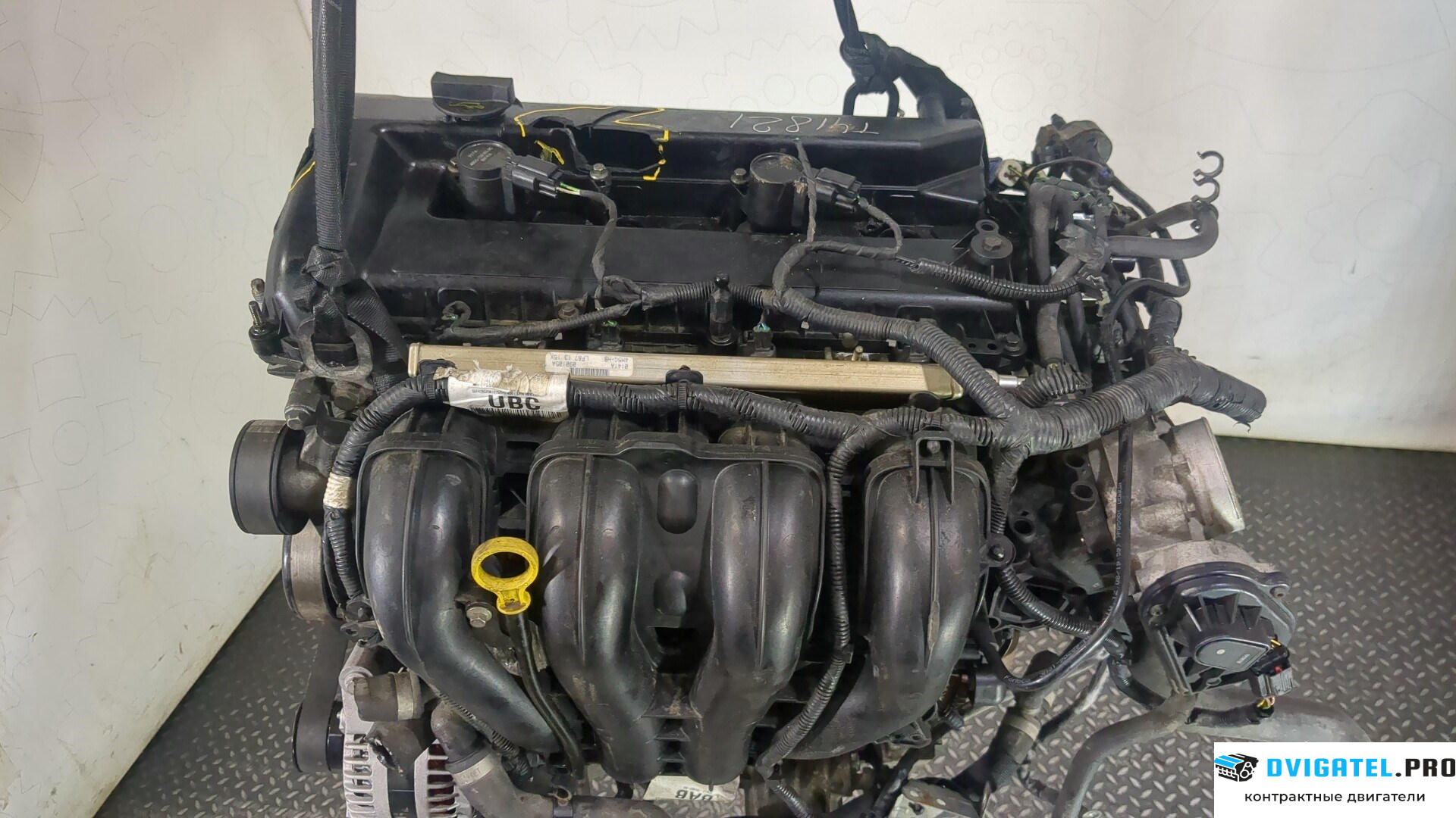 Двигатель Ford Focus 2 2008 - 2011 QQDB 1.8 л., Бензин, Инжектор, артикул 9043587
