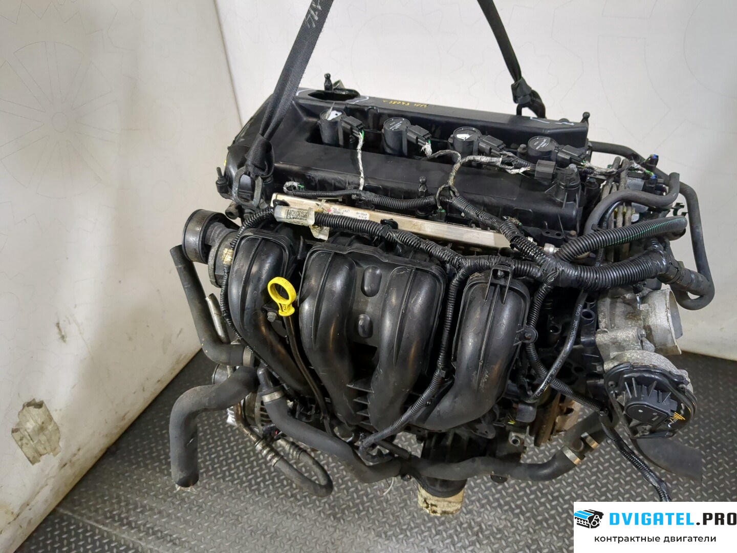 Двигатель Ford Focus 2 2005 - 2008 QQDB 1.8 л., Бензин, SFI Инжектор, артикул 8759266
