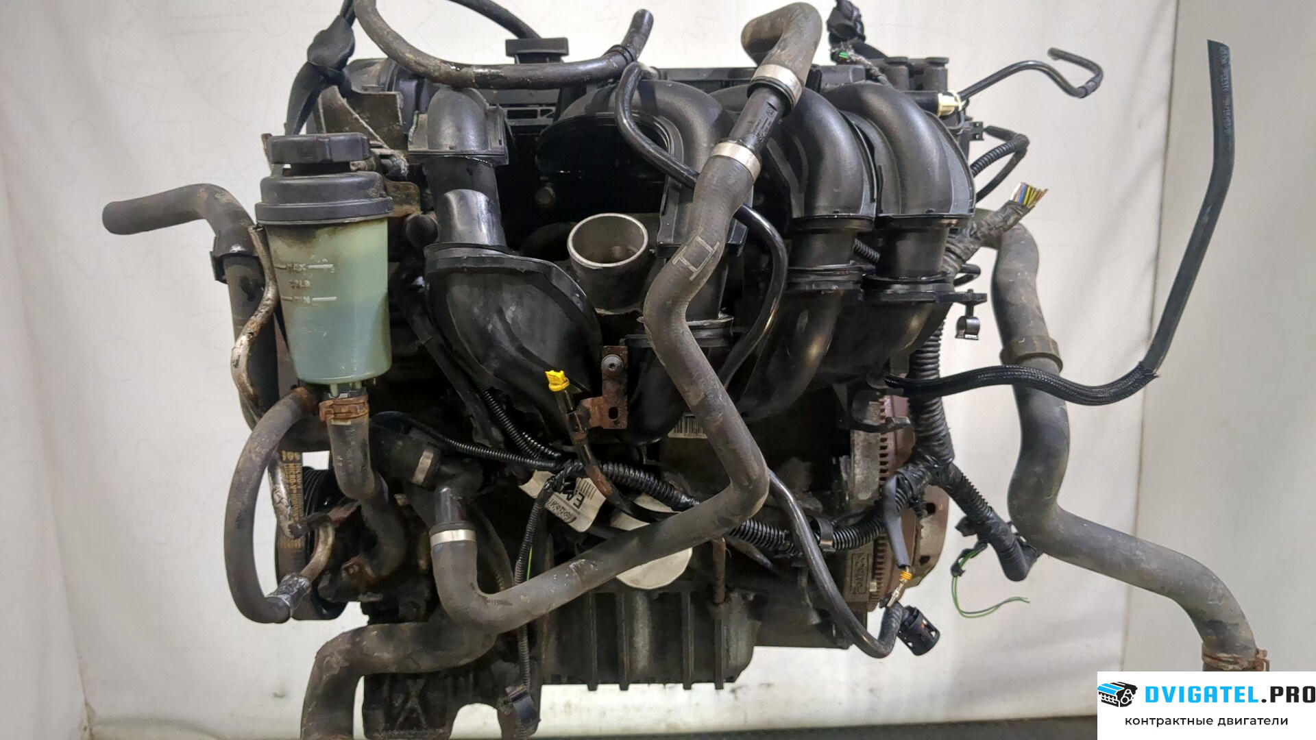 Двигатель Ford Focus 2 2008 - 2011 SHDA, SHDC 1.6 л., Бензин, Инжектор, артикул 9266126