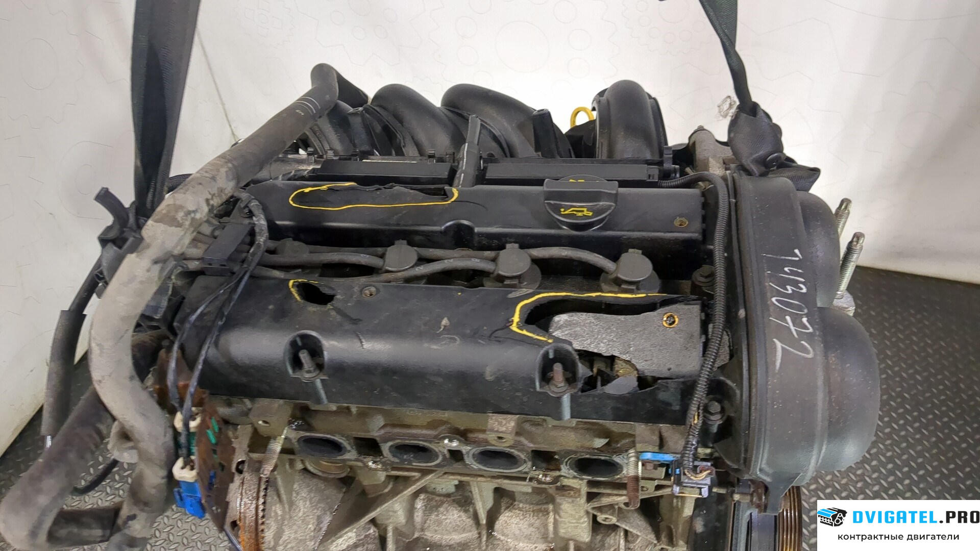 Двигатель Ford Focus 2 2008 - 2011 SHDA, SHDC 1.6 л., Бензин, Инжектор, артикул 9163931