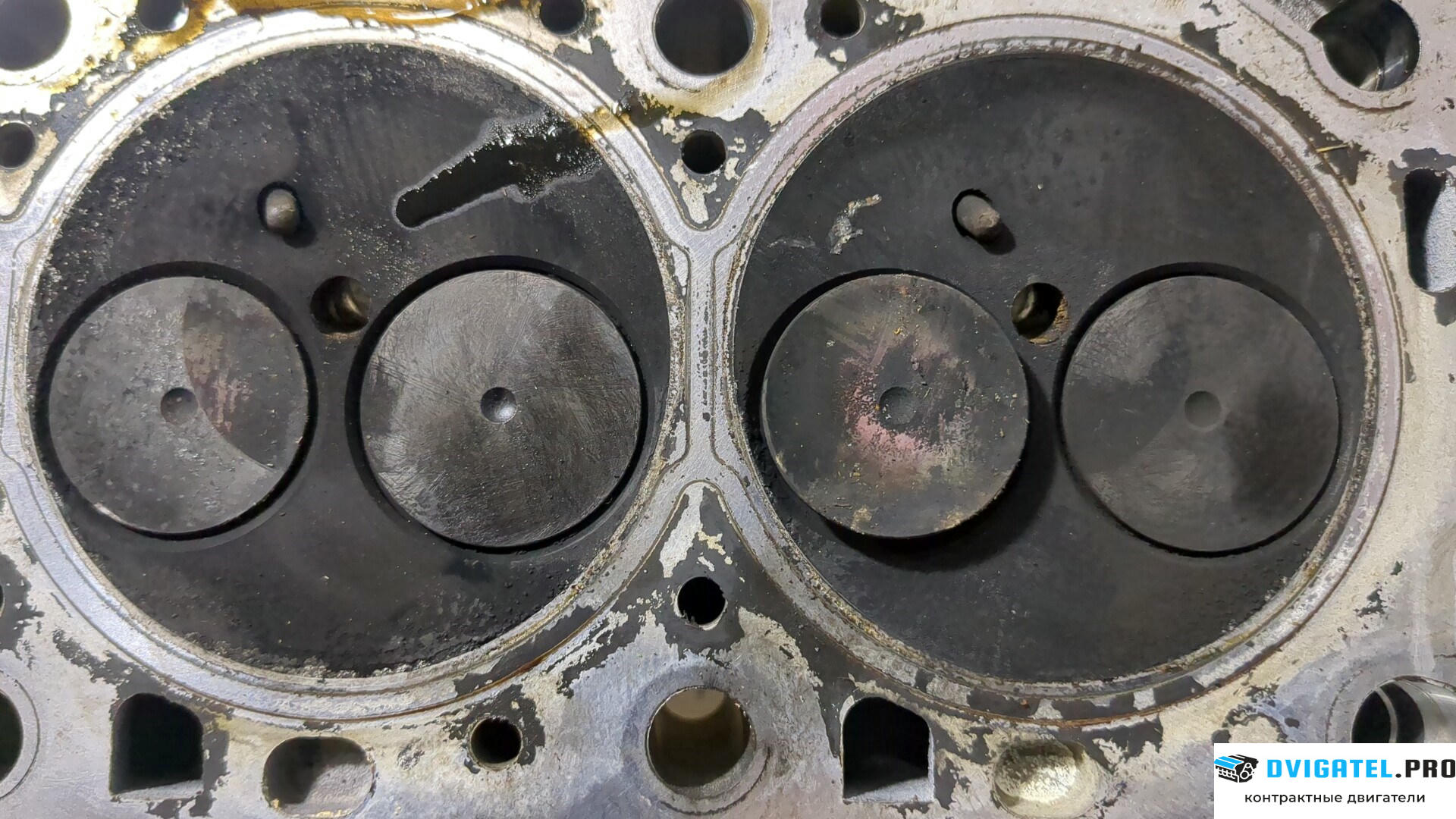Головка блока цилиндров (ГБЦ) Renault Scenic 1996 - 2002 F9Q 732 1.9 л., Дизель, DCI, артикул 8958461