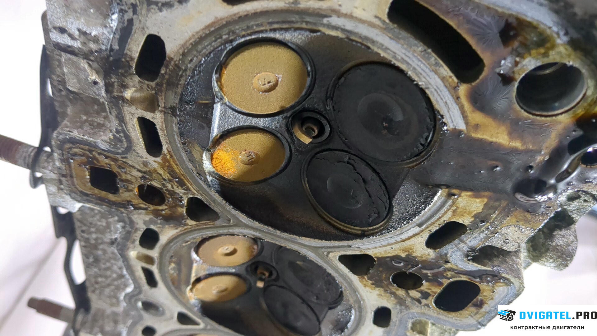 Головка блока цилиндров (ГБЦ) Ford C-Max 2002 - 2010 SHDA, SHDB, SHDC 1.6 л., Бензин, Инжектор, артикул 8896755