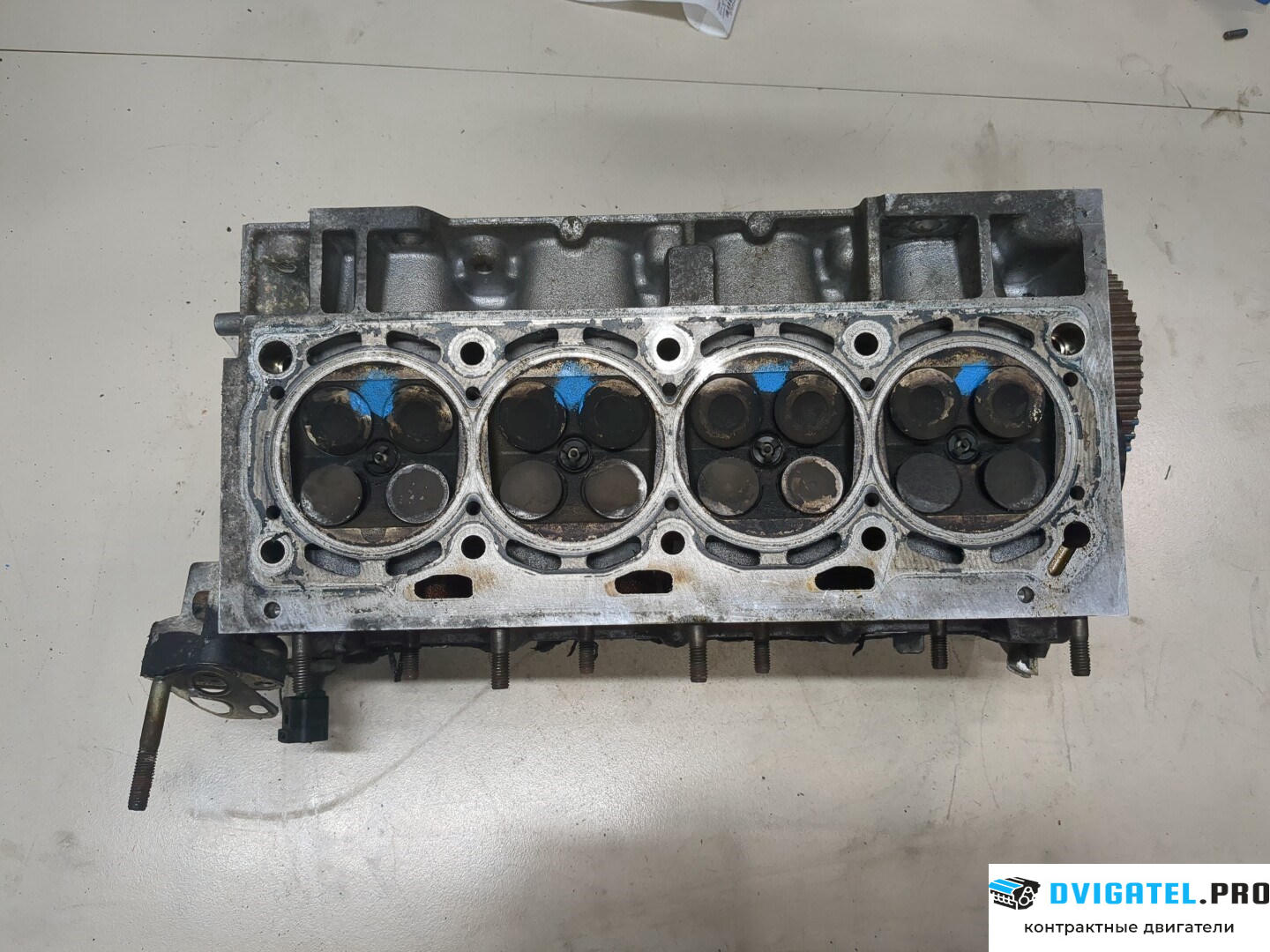Головка блока цилиндров (ГБЦ) Volkswagen Golf 4 1997 - 2005 AXP 1.4 л., Бензин, Инжектор, артикул 9167627