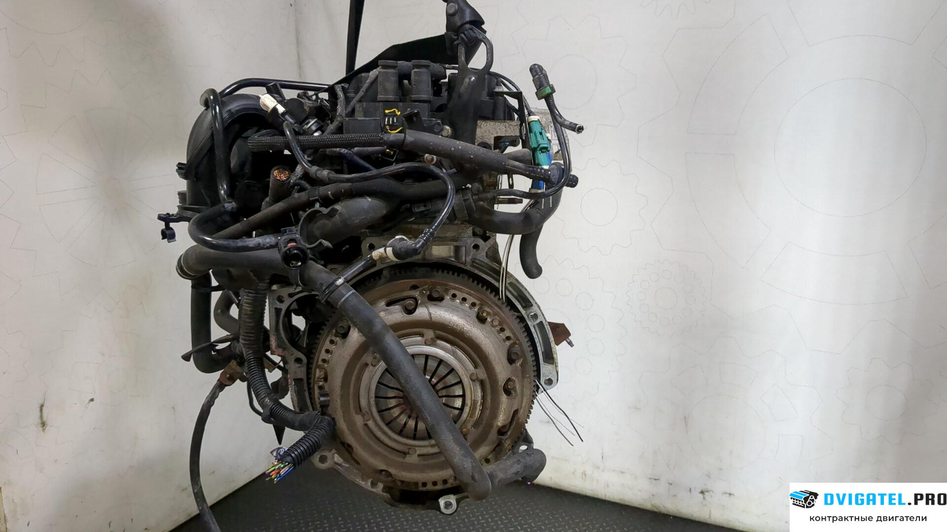 Двигатель Ford Focus 2 2005 - 2008 SHDA 1.6 л., Бензин, HPDC Инжектор, артикул 9262260